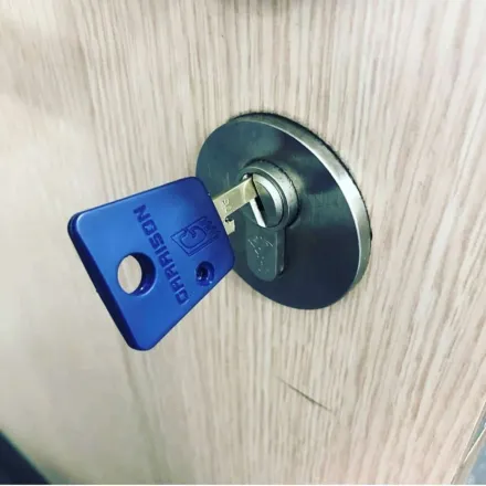 New Garrison key in a round escutcheon on a light oak door